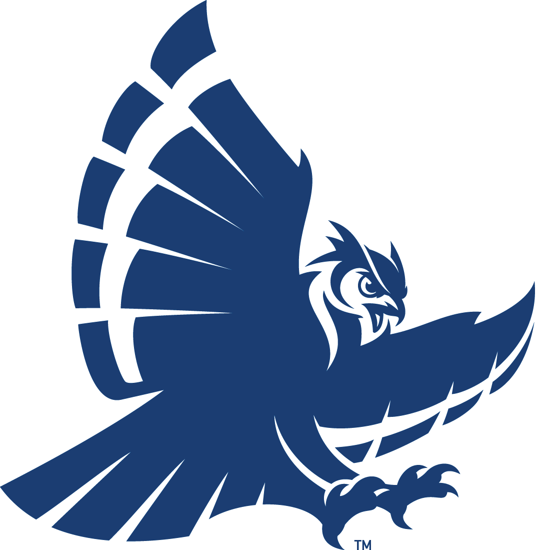 Rice Owls 2017-Pres Secondary Logo v2 diy iron on heat transfer